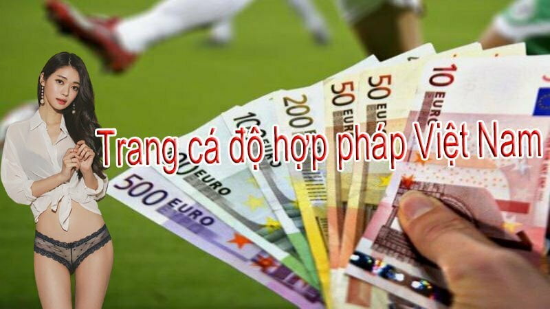 trang cá độ hợp pháp việt nam