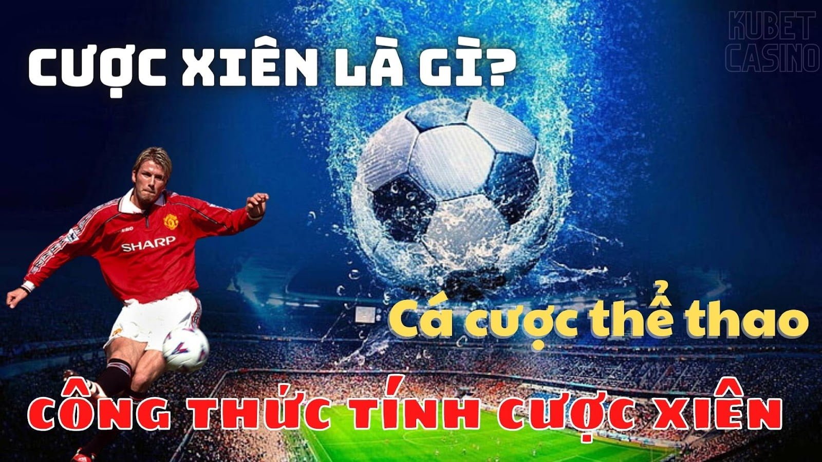 cá cược thể thao