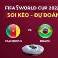 Cameroon vs Brazil